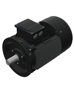 IE3 Electric motor 75,0 kW 400VD/690VY 50 Hz 1500 RPM 5542800200
