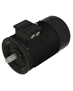 IE3 Electric motor 90,0 kW 400VD/690VY 50 Hz 1500 RPM 5542801200