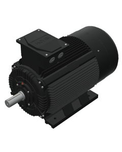 IE3 Electric motor 132 kW 400VD/690VY 50 Hz 1500 RPM 5543151100