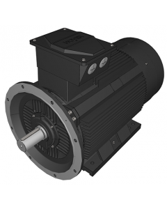 IE3 Electric motor 315 kW 400VD/690VY 50 Hz 1500 RPM 5543551200