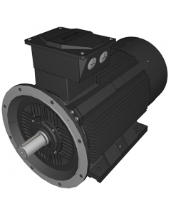 IE3 Electric motor 315 kW 400VD/690VY 50 Hz 1500 RPM 5543551400