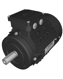 IE3 Electric motor 0,75 kW 230VD/400VY 50 Hz 1000 RPM 5560900300