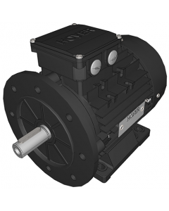 IE3 Electric motor 0,75 kW 230VD/400VY 50 Hz 1000 RPM 5560900400