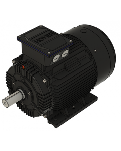 IE3 Electric motor 18,5 kW 400VD/690VY 50 Hz 1000 RPM 5562000100