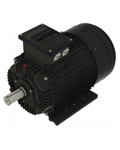 IE3 Electric motor 22,0 kW 400VD/690VY 50 Hz 1000 RPM 5562001100