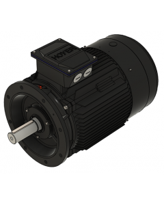 IE3 Electric motor 30,0 kW 400VD/690VY 50 Hz 1000 RPM 5562250200