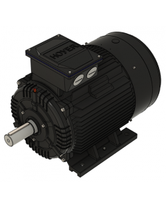 IE3 Electric motor 37,0 kW 400VD/690VY 50 Hz 1000 RPM 5562500100