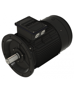 IE3 Electric motor 37,0 kW 400VD/690VY 50 Hz 1000 RPM 5562500200