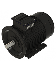 IE3 Electric motor 37,0 kW 400VD/690VY 50 Hz 1000 RPM 5562500400