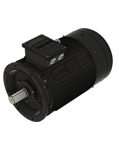 IE3 Electric motor 55,0 kW 400VD/690VY 50 Hz 1000 RPM 5562801200