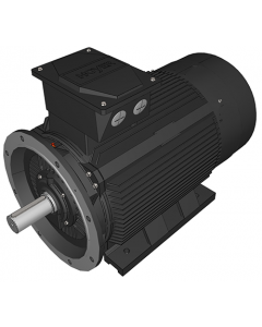 IE3 Electric motor 132 kW 400VD/690VY 50 Hz 1000 RPM 5563153400