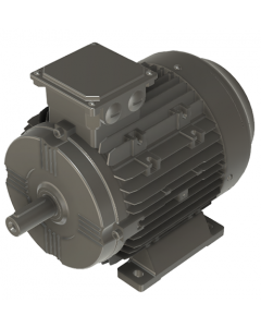 IE4 Electric motor 4 kW 400VD/690VY 50 Hz 3000 RPM 6021120100