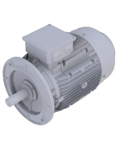 IE4 Electric motor 18,5 kW 400VD/690VY 50 Hz 3000 RPM 6021602200