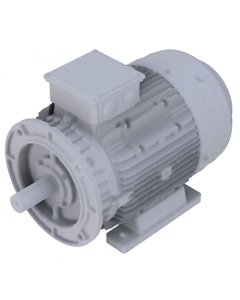 IE4 Electric motor 22 kW 400VD/690VY 50 Hz 3000 RPM 6021800400