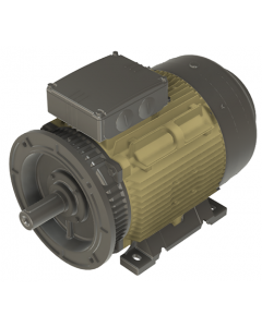 IE4 Electric motor 30 kW 400VD/690VY 50 Hz 3000 RPM 6022000400