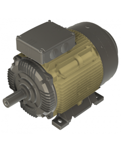 IE4 Electric motor 37 kW 400VD/690VY 50 Hz 3000 RPM 6022001100
