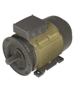 IE4 Electric motor 37 kW 400VD/690VY 50 Hz 3000 RPM 6022001400