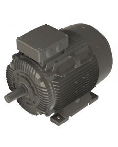 IE4 Electric motor 45 kW 400VD/690VY 50 Hz 3000 RPM 6022250100