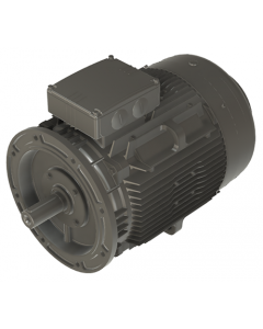 IE4 Electric motor 45 kW 400VD/690VY 50 Hz 3000 RPM 6022250200