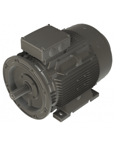 IE4 Electric motor 45 kW 400VD/690VY 50 Hz 3000 RPM 6022250400