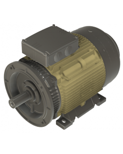 IE4 Electric motor 30 kW 400VD/690VY 50 Hz 1500 RPM 6042000400