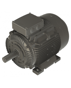 IE4 Electric motor 37 kW 400VD/690VY 50 Hz 1500 RPM 6042250100
