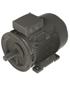 IE4 Electric motor 37 kW 400VD/690VY 50 Hz 1500 RPM 6042250400