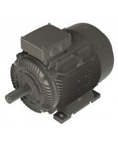 IE4 Electric motor 45 kW 400VD/690VY 50 Hz 1500 RPM 6042251100