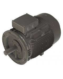 IE4 Electric motor 45 kW 400VD/690VY 50 Hz 1500 RPM 6042251200