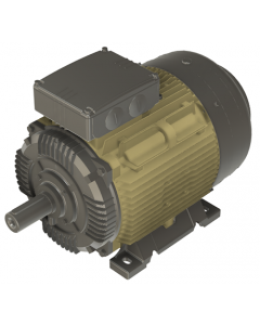 IE4 Electric motor 18,5 kW 400VD/690VY 50 Hz 1000 RPM 6062000100