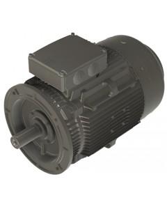 IE4 Electric motor 18,5 kW 400VD/690VY 50 Hz 1000 RPM 6062000200