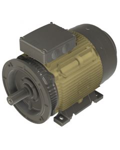 IE4 Electric motor 18,5 kW 400VD/690VY 50 Hz 1000 RPM 6062000400