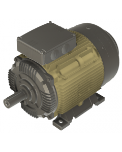 IE4 Electric motor 22 kW 400VD/690VY 50 Hz 1000 RPM 6062001100
