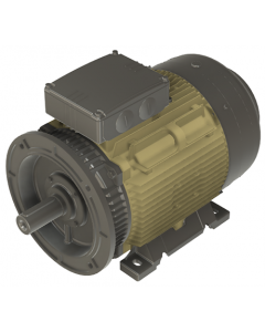 IE4 Electric motor 22 kW 400VD/690VY 50 Hz 1000 RPM 6062001400