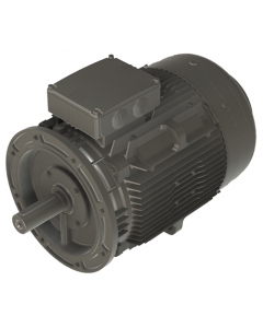 IE4 Electric motor 30 kW 400VD/690VY 50 Hz 1000 RPM 6062250200