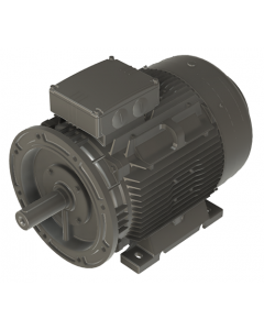 IE4 Electric motor 30 kW 400VD/690VY 50 Hz 1000 RPM 6062250400