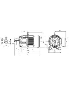 IE3 Electric motor 55,0 kW 400VD/690VY 50 Hz 1500 RPM 5542500110